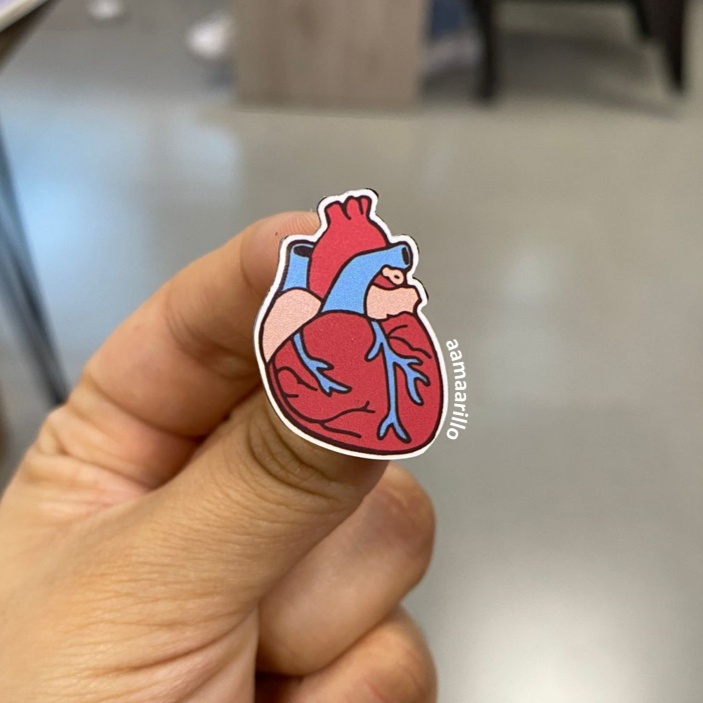 Pin corazón anatomía plano