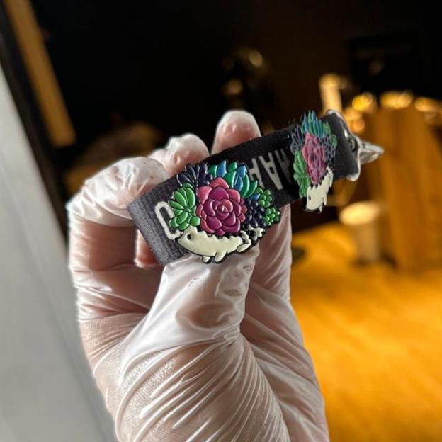 Pin cuerpo espín florecido