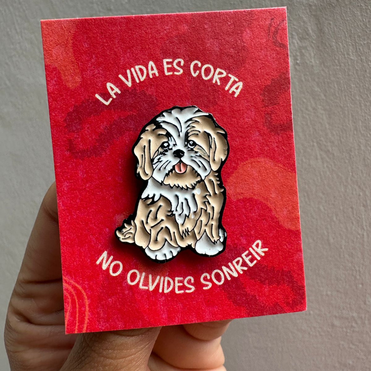 Pin Shih Tzu