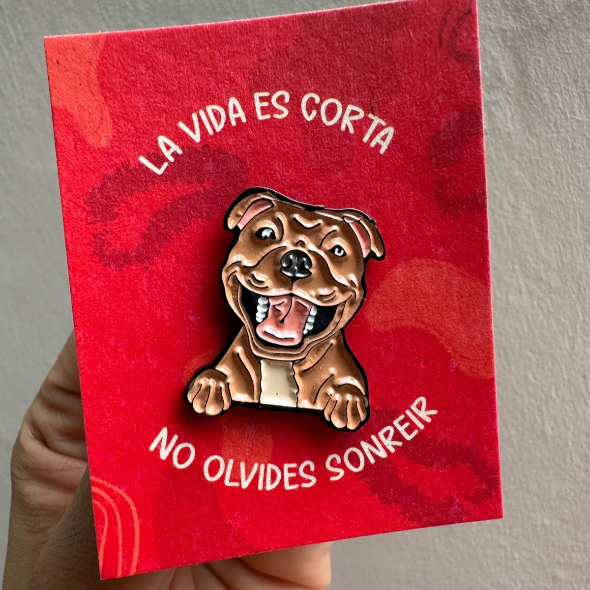 Pin perrito Rottweiler