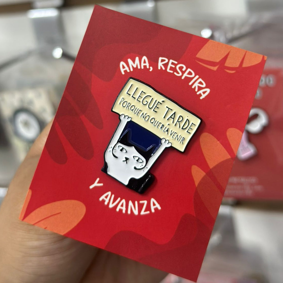 Pin gato llegue tarde porque no quería venir