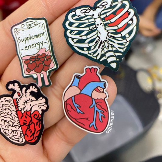 Pin corazón anatomía plano