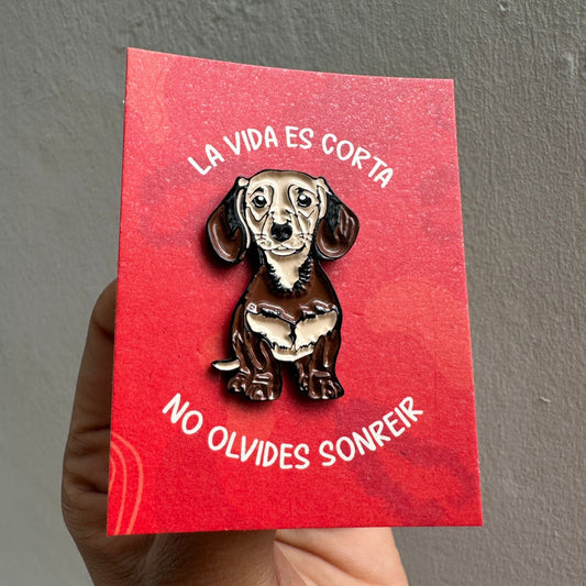 Pin perrito salchicha claro