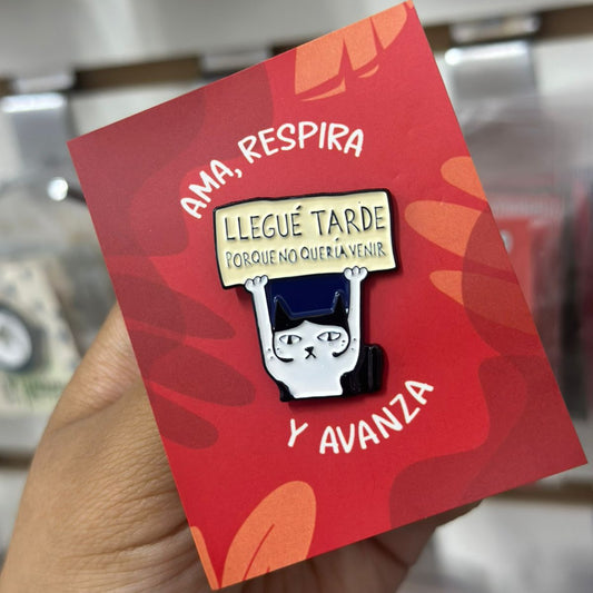 Pin gato llegue tarde porque no quería venir