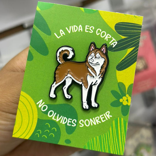 Pin perro husky