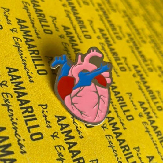 Pin corazón anatomía real